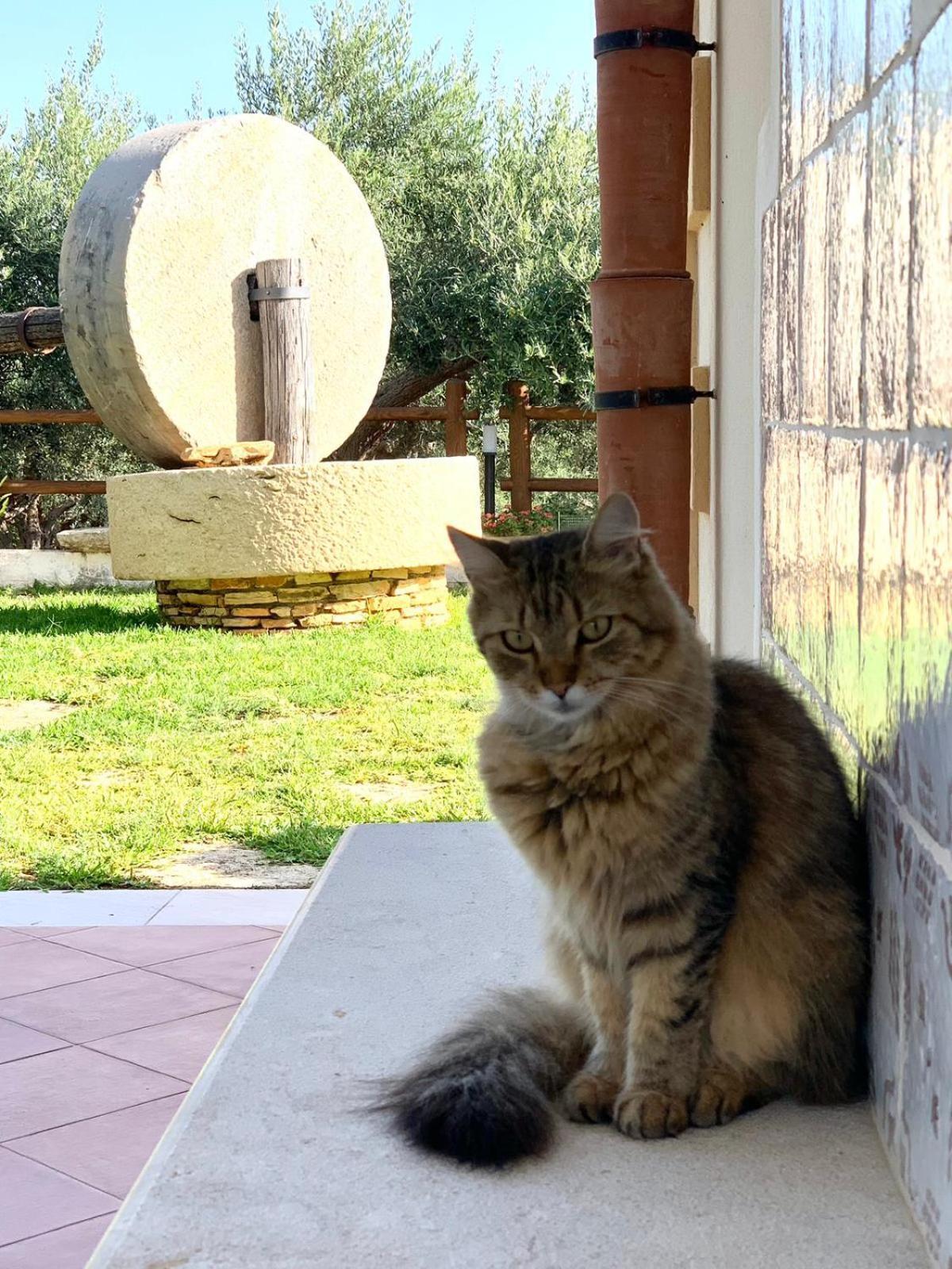 Casale La Macina - Hotel, Scopello المظهر الخارجي الصورة